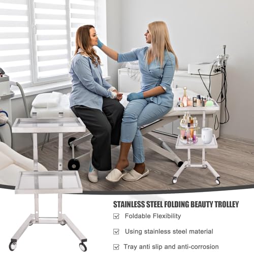 Stainless Steel Salon Cart,Stainless Steel Rolling Cart | Modern Simple Pallet Design Utility Cart on Wheels for Living Room, Bathroom, Kitchen, Bedroom