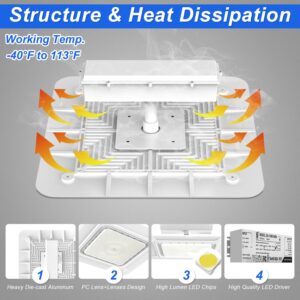 240W LED Gas Station Canopy Light, 43200LM 5700K Surface Mount LED Carport Ceiling Light (1000W HID/HPS Equivalent) Commercial Canopy Lighting for Gas Station, Garage, IP65 100-277V DLC UL Listed