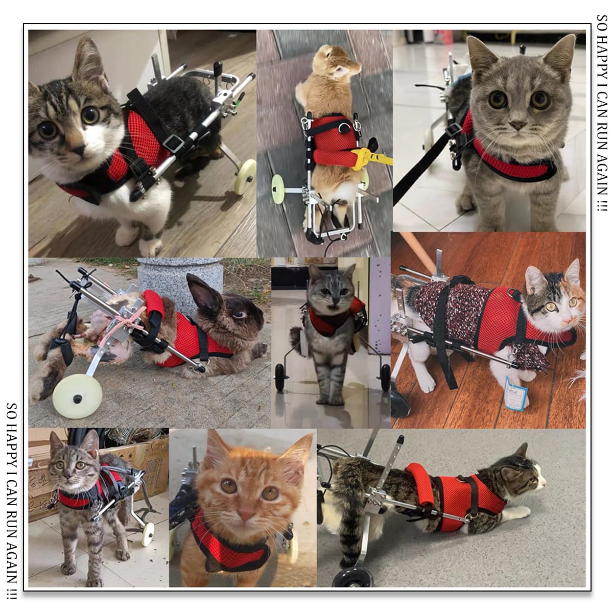 Cat Wheelchair, Newly Upgraded Pet Wheelchair, Removable Harness Design, Lightweight Cat Wheelchair for Back Legs of Doggie, Cats, Rabbits (M)