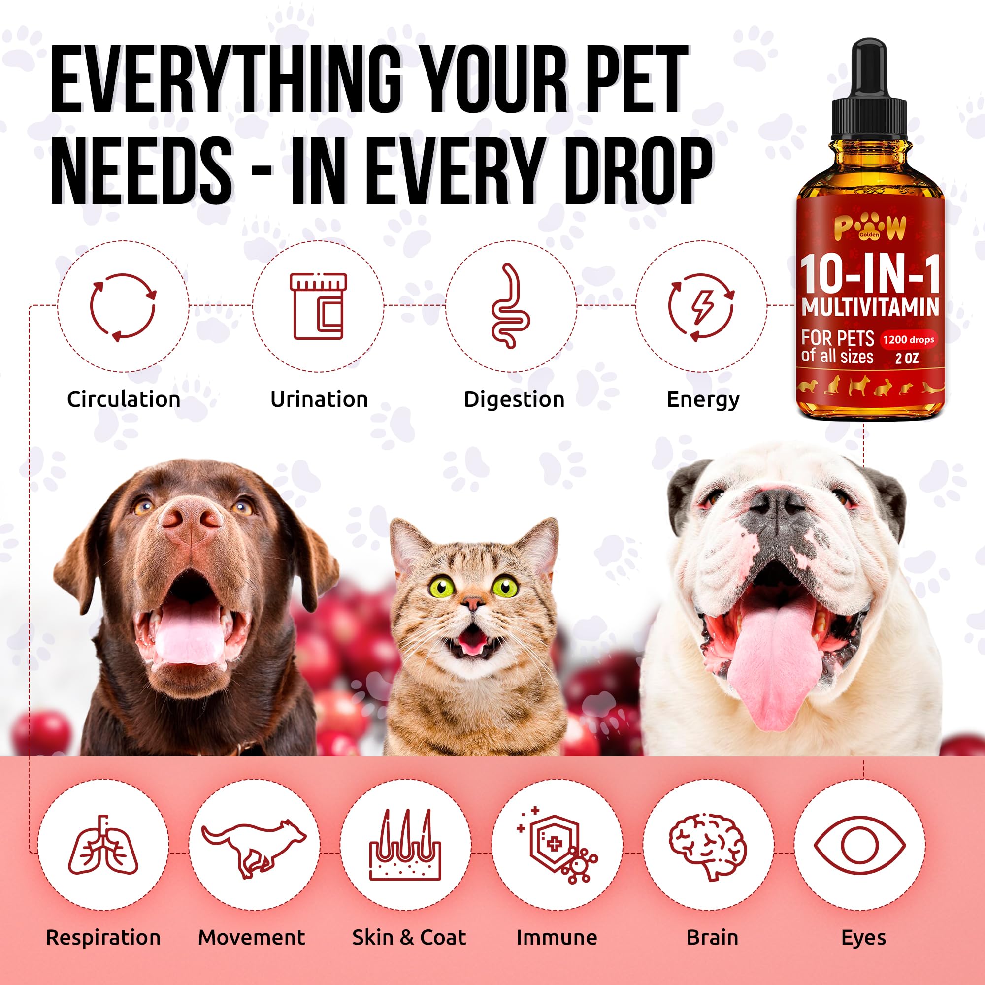 Dog Vitamins and Supplements Liquid | Cat Vitamins | Antibiotics for Dogs | Antibiotics for Cats | Dog Probiotic | Cat Probiotic Liquid | 3 x 2 Oz