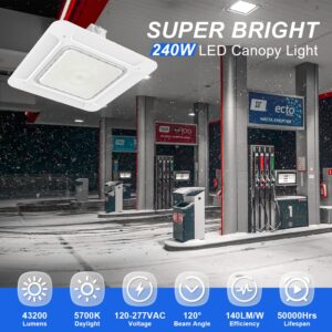 240W LED Gas Station Canopy Light, 43200LM 5700K Surface Mount LED Carport Ceiling Light (1000W HID/HPS Equivalent) Commercial Canopy Lighting for Gas Station, Garage, IP65 100-277V DLC UL Listed