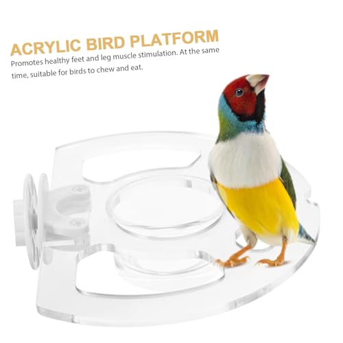 HAPINARY Parrot Food Bowl Stand Bird Feeding Utensils Bird Cup Platform Parrot Cage Supply Bird Cage Bird Toy Parakeet Food Bowl Bird Slot Feeder Parrot Toys Parrot Water Dispenser Acrylic