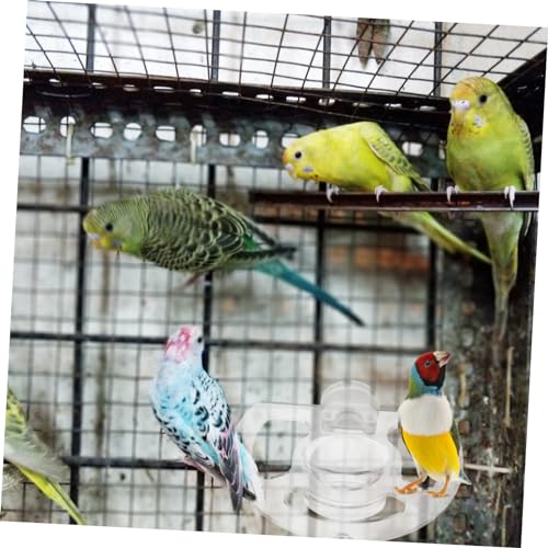 HAPINARY Parrot Food Bowl Stand Bird Feeding Utensils Bird Cup Platform Parrot Cage Supply Bird Cage Bird Toy Parakeet Food Bowl Bird Slot Feeder Parrot Toys Parrot Water Dispenser Acrylic