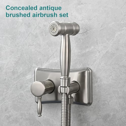 Portable Brush Sturdy Handheld Bidet Sprayer Set Accessory For Toilet With Adjustment Water Temperature Control