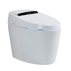 toilet smart toilets ceramic white with heated bidet seat portable toilet with bidet built bidet toilet with dryer and warm water