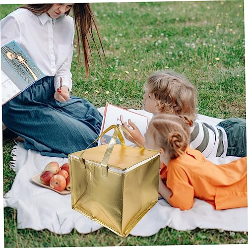 Insulation Bags Pizza Carrier Insulated Bags Tote Bags Shopping Bags Insulated Bags for Shopping Food Bag Insulated Shopping Bag Food Storage Bag Cold Food Bags ABOOFAN