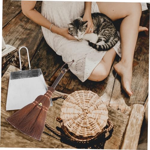 PLAFOPE 1 Set Pet Broom Dustpan Home Accessory Convenient Mini Dustpan Pet Cage Broom Mini Broom with Dustpan Litter Scooper and Duster Desktop Cleaning Brush Desk Cleaning Broom Wood