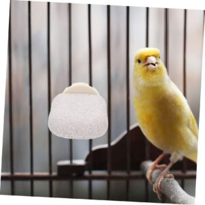 CORHAD 2pcs Parrot Standing Pole Parrot Perch Cockatiel Toys Parakeet Perches for Cage Bird Cage Toys Perches for Bird Cages Parrot Cage Supply Bird Perches Bird Toy Light Grey Pumice