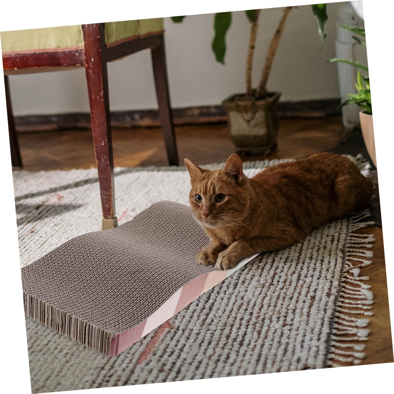 WOONEKY 2pcs Corrugated Cat Scratching Post Cat Scratchers Cardboard Cat Supplies Interesting Scratch Pad Room Kitten Scratcher Fun Scratcher Funny Scratching Board Corrugated Paper