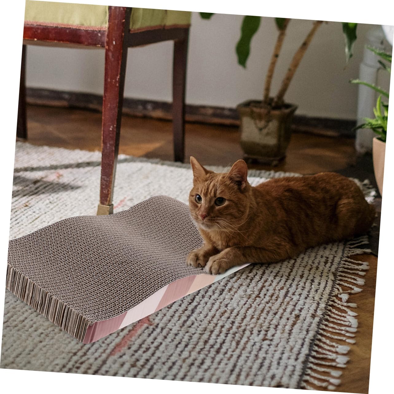 Levemolo 2pcs Corrugated Cat Scratching Post Fun Scratcher Kitten Scratcher Cardboard Cat Scratchers Indoor Cat Plaything Cat Supplies Pet Scratcher Pad Cat Scratcher Pad Corrugated Paper