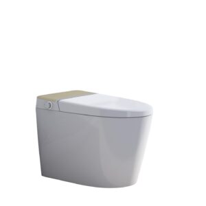 WIIS' IDEA Smart Toilet, Elongated One Piece Bidet Toilet with Bidet Built In, Tankless Smart Bidet Toilet with Auto Open Close, Auto Flush, Foot Sensor, Heated Bidet Seat, LED Display, Night Light