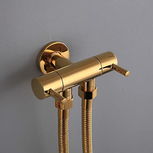 Shower System, Bidet Sprayer Brass Handheld Bidet Sprayer for Toilet Portable Baby Cloth Diaper Sprayer Bidet Attachment with Bidet Hose for Feminine Wash, Adjustable Water Pressure Control, Gold