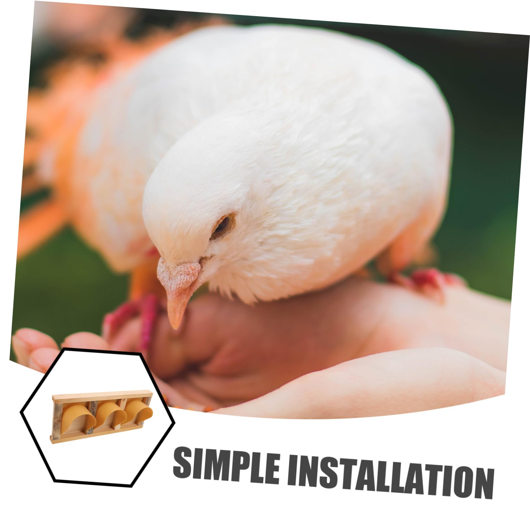 Pigeon Supplies Bird Cage Birds House Door Pigeon Cage Door Racing Pigeons Cage Supplies Pigeon Entrance Door Bird Racing Door Bird Door Dove Entrance Door Pigeon Door Wood BESPORTBLE