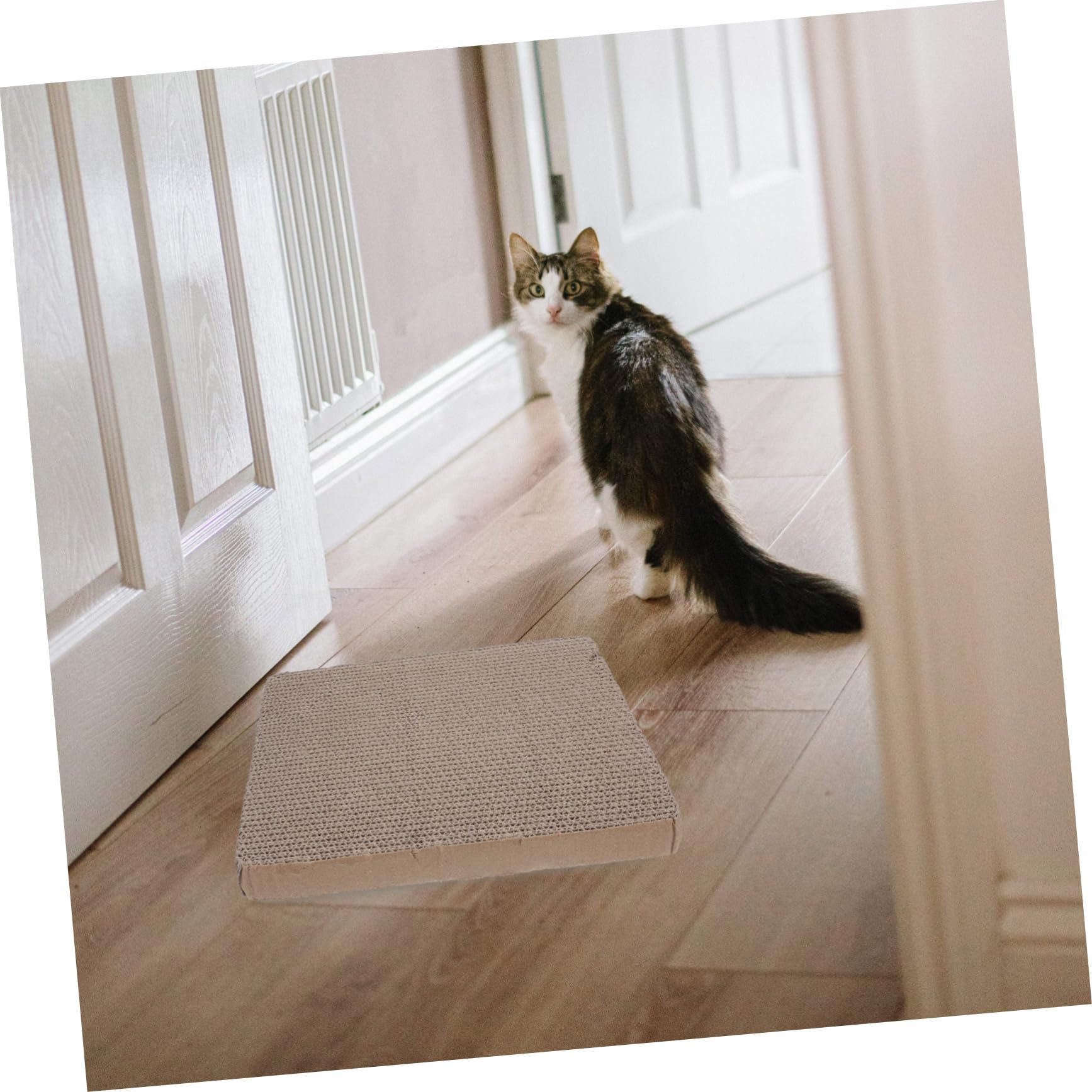 VILLFUL Cat Scratching Post Cat Scratching Board Floor Supply Replaceable Scratching Board Household Kitten Scratcher Replacement Funny Scratch Pad Cat Scratcher Replacement Paper