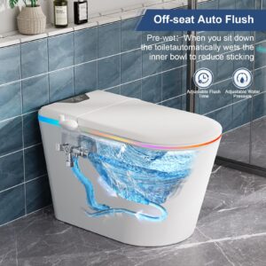 LDian Tankless Smart Toilet With Bidet Built In,Heated Toilet Seat One-piece Bidet Toilet Seat, Auto Flush, Auto Open & Auto Close, Warm Water and Dryer, Wireless Remote Control