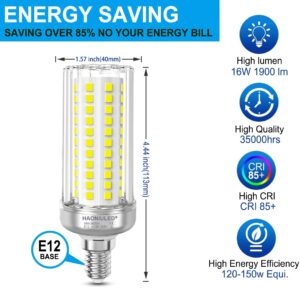 HAONIULED LED Light Bulb E12 Base 16W LED Candelabra Bulb 150 Watt Equivalent, Cool White 6000K 1900 Lumen Non-Dimmable Suitable for Home Indoor attic Corridor Garage Pack of 2