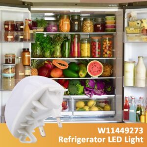 W11251749 Refrigerator LED Light Bulb for Whirlpool Kitchenaid Kenmore Amana Refrigerator Freezer Light Replaces AP7192759 W11520324 W11468934 W11549780 W11449273 W11602886 Fridge Light