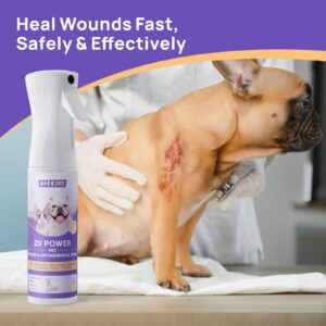 HICC PET Itch Relief Spray & Hot Spot Treatment for Dogs Cats - Rapidly Alleviate Dry Itchy Skin, Skin Allergies, Scratching, Excessive Licking, 2X Strength Formula, Safe for All Animals 10 Fl Oz