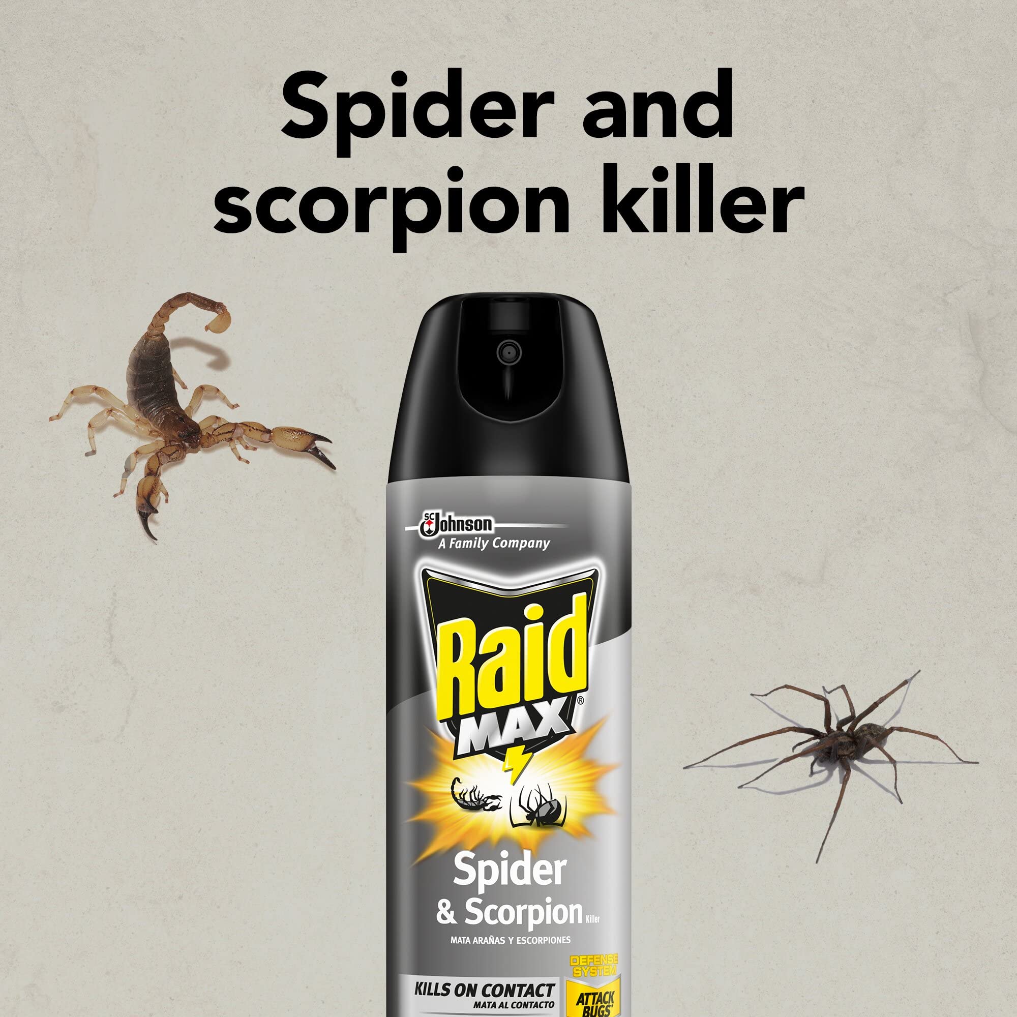 Raid Spider and Scorpion Killer, Kills Spiders, Scorpions, roaches, Ants, Waterbugs, earwigs, 12 Oz (Pack of 2)