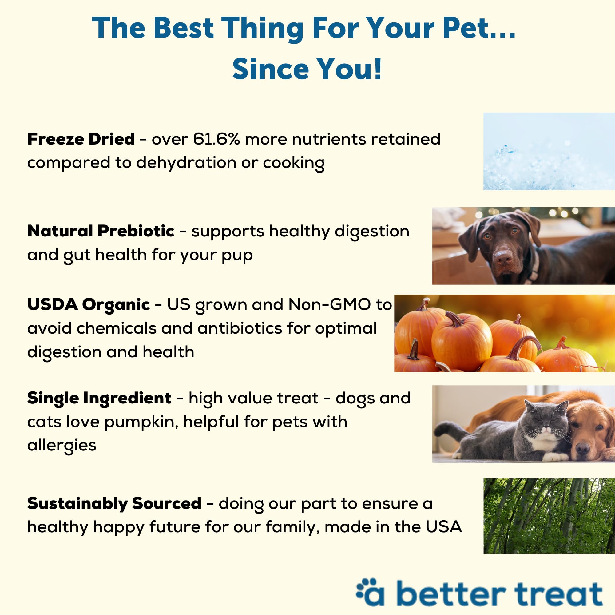 A Better Treat – Freeze Dried Organic Pumpkin Dog and Cat Treats, Organic, Single Ingredient | Natural, Healthy, Diabetic Friendly | Made in The USA