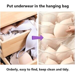 Oniapro 2 Pack Hanging Shelves Closet Organizer, Bra Underwear Storage Bag with Metal Hanger, Dual Sided Wall Shelf Wardrobe Mesh Pockets (Beige)