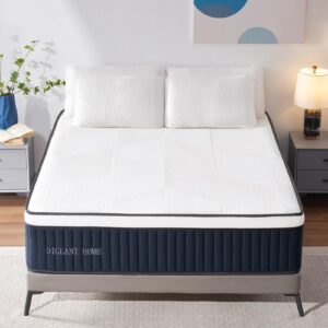 queen mattress, diglant 14 inch euro top hybrid memory foam mattress with pocket springs, medium plush feel queen size mattress in a box, supportive & pressure relief, certipur-us certified, 60"*80"