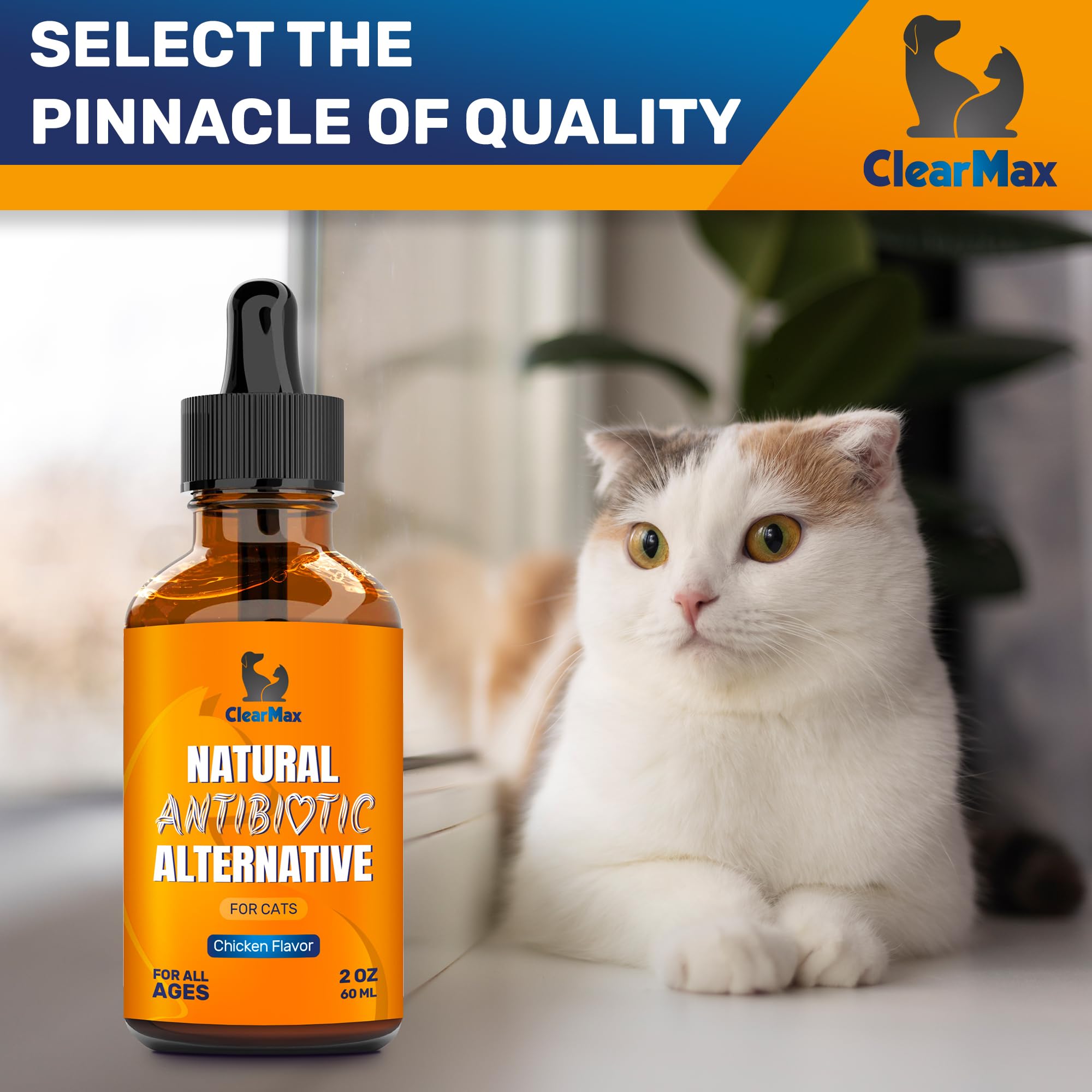 Antibiotics for Cats ◆ Cat Antibiotic ◆ Natural Antibiotics for Cats ◆ Cat Antibiotics ◆ Antibiotic for Cats ◆ Cat Multivitamin ◆ Pet Antibiotic ◆ 2 Oz