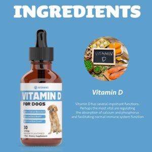 Vitamin D for Dogs | Supports Strong & Health Bones | Vitamin D Supplements for Dogs | Vitamin D Dog | Dog Vitamins and Supplements | Dog Vitamins Multivitamin | Vitamins for Dogs | 1 fl oz