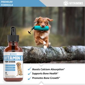 Vitamin D for Dogs | Supports Strong & Health Bones | Vitamin D Supplements for Dogs | Vitamin D Dog | Dog Vitamins and Supplements | Dog Vitamins Multivitamin | Vitamins for Dogs | 1 fl oz