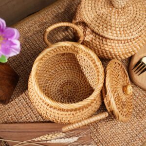 Small Rattan Basket with Lid, Rattan Basket Organizer with Handle, Rattan Snacks Basket Candy Bowl Rustic Woven Basket for Shelf Table Office Decor