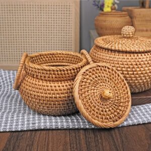 Small Rattan Basket with Lid, Rattan Basket Organizer with Handle, Rattan Snacks Basket Candy Bowl Rustic Woven Basket for Shelf Table Office Decor