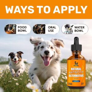 Natural Antibiotics for Dogs ◆ Dog Antibiotic ◆ Antibiotics for Dogs ◆ Dog Multivitamin ◆ Pet Antibiotic ◆ Dog Antibiotics ◆ Antibiotic for Dogs ◆ 2 Oz