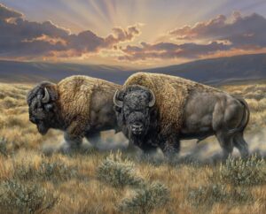 north american bison buffalo on the dusty plains cotton panel 36 x 44 inches david textiles ww3321