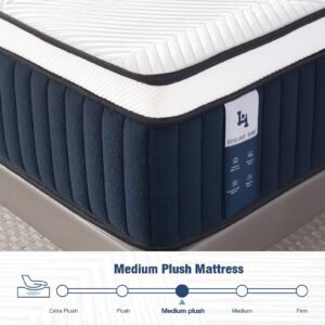 California King Mattress, DIGLANT 14 Inch Euro Top Hybrid Memory Foam Mattress with Pocket Springs, Medium Plush Feel Cal King Mattress, Supportive & Pressure Relief, CertiPUR-US Certified, 72"*84"