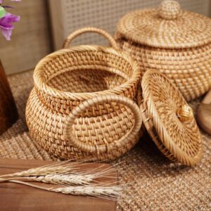 Small Rattan Basket with Lid, Rattan Basket Organizer with Handle, Rattan Snacks Basket Candy Bowl Rustic Woven Basket for Shelf Table Office Decor