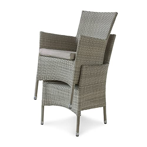 Muse & Lounge Co. Pecos Transitional Metal and All-Weather Wicker Patio Armchairs with Cushion, Set of 2 for Outdoor, Poolside, Garden, Yard, Gray