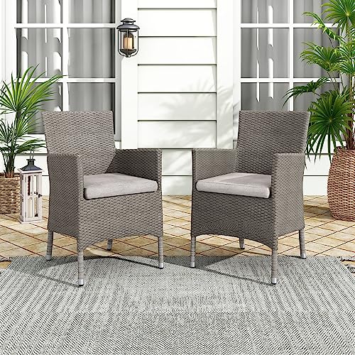 Muse & Lounge Co. Pecos Transitional Metal and All-Weather Wicker Patio Armchairs with Cushion, Set of 2 for Outdoor, Poolside, Garden, Yard, Gray