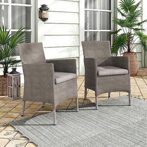 Muse & Lounge Co. Pecos Transitional Metal and All-Weather Wicker Patio Armchairs with Cushion, Set of 2 for Outdoor, Poolside, Garden, Yard, Gray