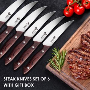 DDF iohEF Steak Knives Set of 6, Non-serrated Steak Knife 4.5 Inch High Carbon Japanese Stainless Steel Kitchen Steak Knife 6 Pieces Dinner Knives Ultra Sharp with Ergonomic Handle and Gift Box