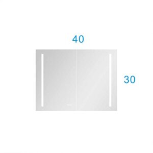 HomSof 40x 30 Inch LED Large Rectangular Black Aluminum Alloy Surface Mount Medicine Cabinet with Mirror