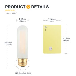 T10 LED Frosted Bulb- Dimmable E26 LED Tube Bulbs 40W Equivalent- 2700K Soft Warm- 4W Vintage Tubular Edison Light Bulbs for Chandelier, Cabinet, Desk/Piano Lamp, Mason Jars, Bathroom Vanity- 3 Count