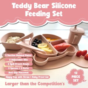 Shandra Silicone Baby Feeding Set (12 pcs) - Baby Led Weaning Supplies - Baby Feeding Accessories - Suction Divided Plate, Plates and Bowls, Sippy Cup Straw & Lid, Bibs, Spoons, Forks (Pink)