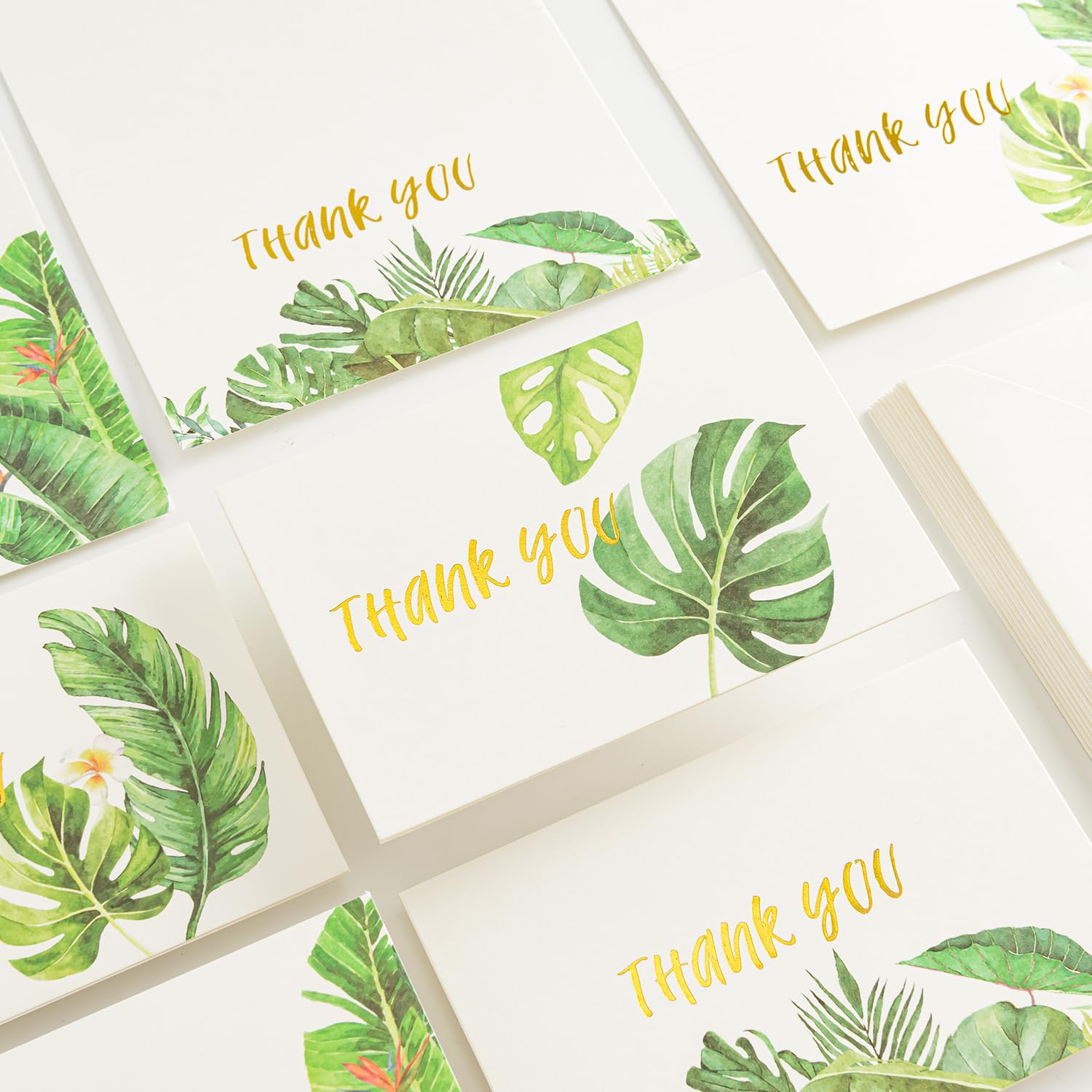 Crisky 4x6 Greenery 4 Assorted Thank You Cards with Envelopes (50 Pack) & Stickers Greeting Cards Bulk, tropical plants for Birthday, Baby Shower,Bridal Shower, Wedding, Graduation