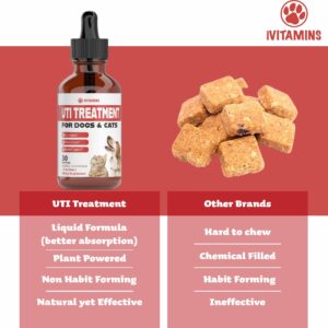 Dog UTI Treatment | Cat UTI Medicine | Cat UTI Remedy | Cranberry Supplement for Dogs | Pumpkin for Cats | Dog UTI | Cat UTI | Cranberry for Dogs | Cat Urinary Tract Infection Treatment | 1 fl oz