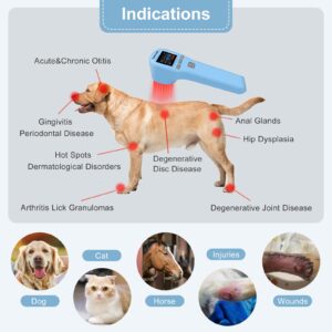 Kdvioo Cold Laser Therapy Device, Portable Red Light Therapy with 4pcs 808nm and 16pcs 650nm, Near Infrared Laser Therapy Relieve Pain and Accelerates Wound Healing for Pets Dogs Horse Cats (Blue)