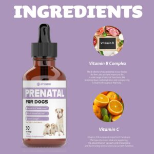 Dog Prenatal Vitamins | Prenatal Vitamins for Dogs | Includes Vitamin B Complex & Vitamin C | Dog Essentials | Whelping Supplies | Prenatal Dog Vitamins | Prenatal for Dogs | 1 Pack: 30 Servings