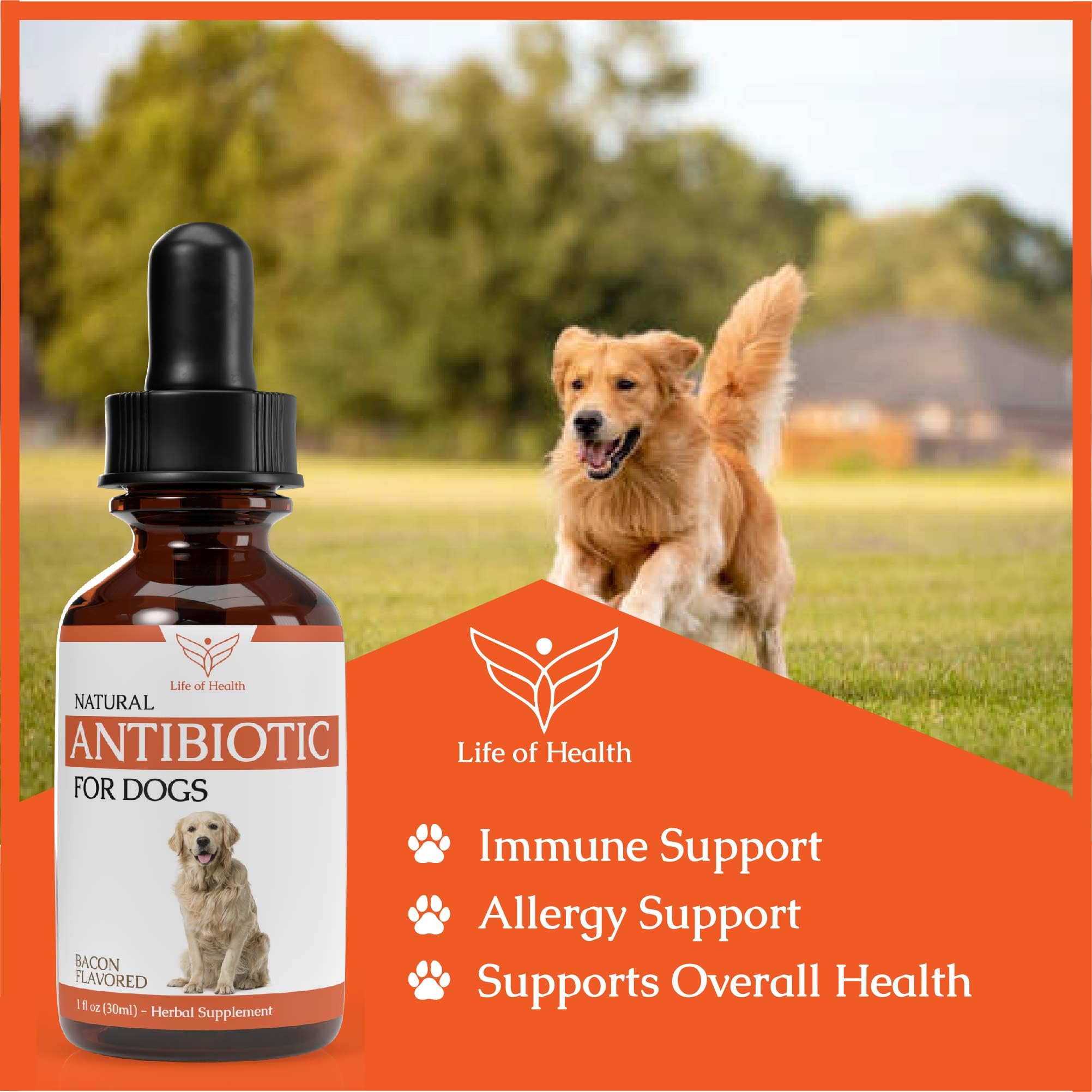 Natural Antibiotics for Dogs | Dog Antibiotics | Dog Ear Infection Treatment | Dog Itch Relief | Yeast Infection Treatment for Dogs | Dog Antibiotic | Pet Antibiotics | Antibiotic for Dogs | 1 oz