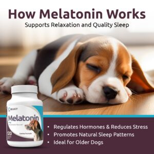 K9 Select Melatonin for Dogs - Calming Chews - Dog Melatonin for Sleep - Reduce Stress, Helps Composure Calming Treats for Large Dogs - 6 mg, 120 Peanut Butter Flavored Chewable Tablets