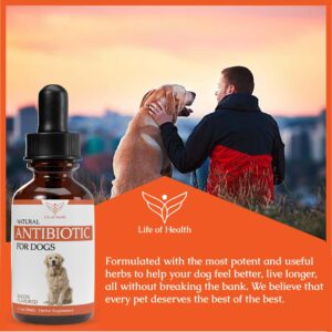 Natural Antibiotics for Dogs | Dog Antibiotics | Dog Ear Infection Treatment | Dog Itch Relief | Yeast Infection Treatment for Dogs | Dog Antibiotic | Pet Antibiotics | Antibiotic for Dogs | 1 oz