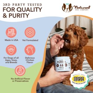 Natural Dog Company Probiotic Chews for Dogs (90 Bites), Chicken Flavor, Helps with Digestion & Gut Health Supports Immune System, Probiotics Supplement for Dogs of All Ages, Sizes & Breeds.